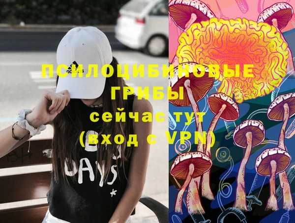 дурь Рославль