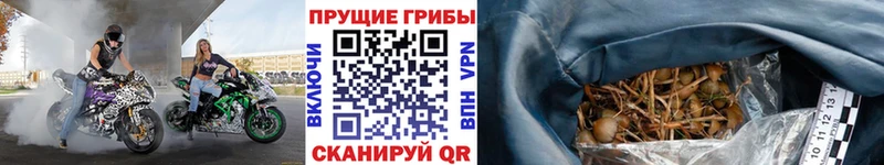 Псилоцибиновые грибы мухоморы  Петровск-Забайкальский 